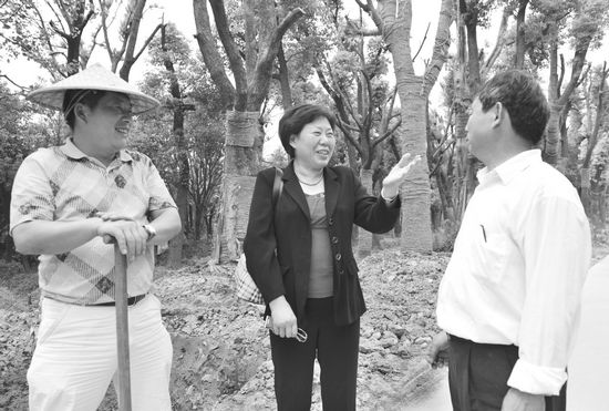 引领苗木之乡转型，芜湖经纪人