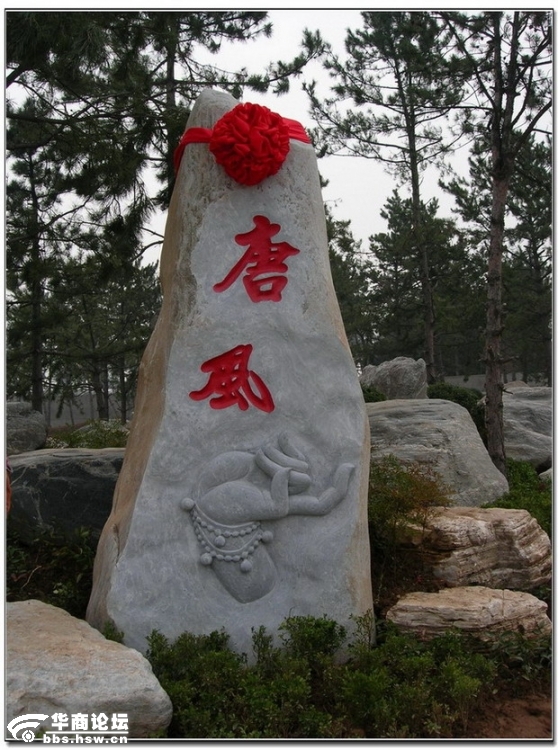 中国唐苑·盆景展