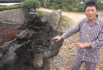 2万巨款征集数万年前阴沉木根雕方案