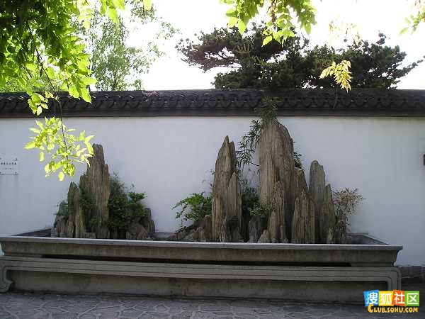 养性怡情观之盆景欣赏