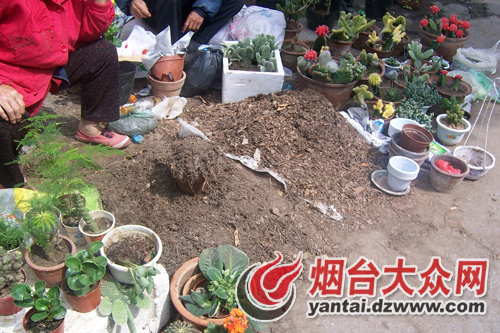 农村泥土值钱了，一盆能卖还几块