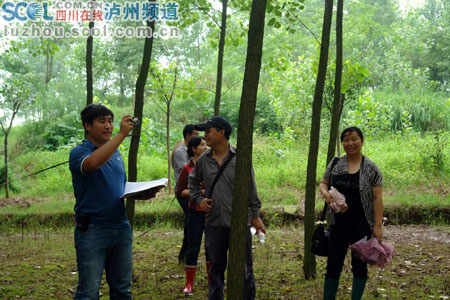 退耕还林800亩，接受国家的检验