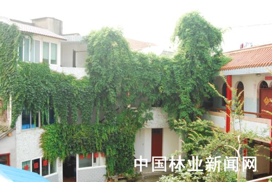 大树底上好乘凉，全是绿化的功劳