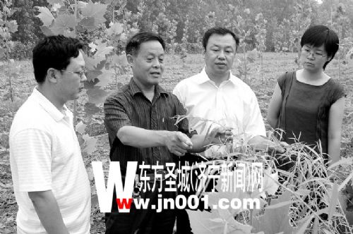 任城自我提高，冲击“中国第一苗木品牌”