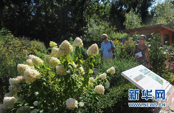 奥地利：2010图尔恩国际园艺博览会开幕（图）