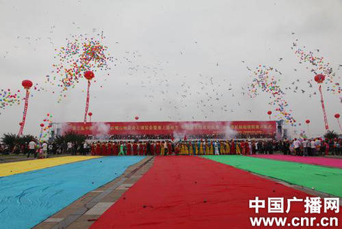 第三届中国宁夏石嘴山林业奇石博览会开幕