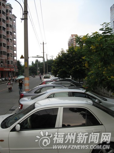 公共停车场赶走路边行道树，市民均不解？