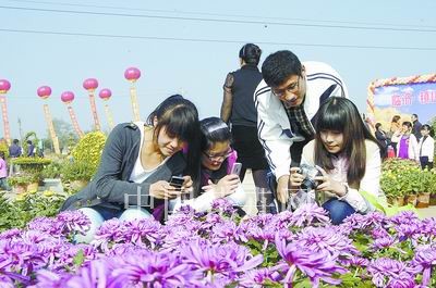 金秋菊花展开幕，号称是临沂后花园