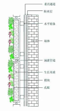 分析墙面绿化的六种类型