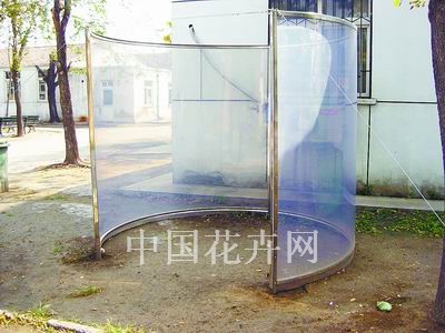透明”苗木防风帐  天津市容委和天津市园林建设总公司共同研制